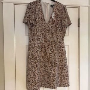 JCrew Dress